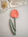 Tulipe Vert & Pamplemousse