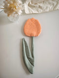 Tulipe Vert & Abricot