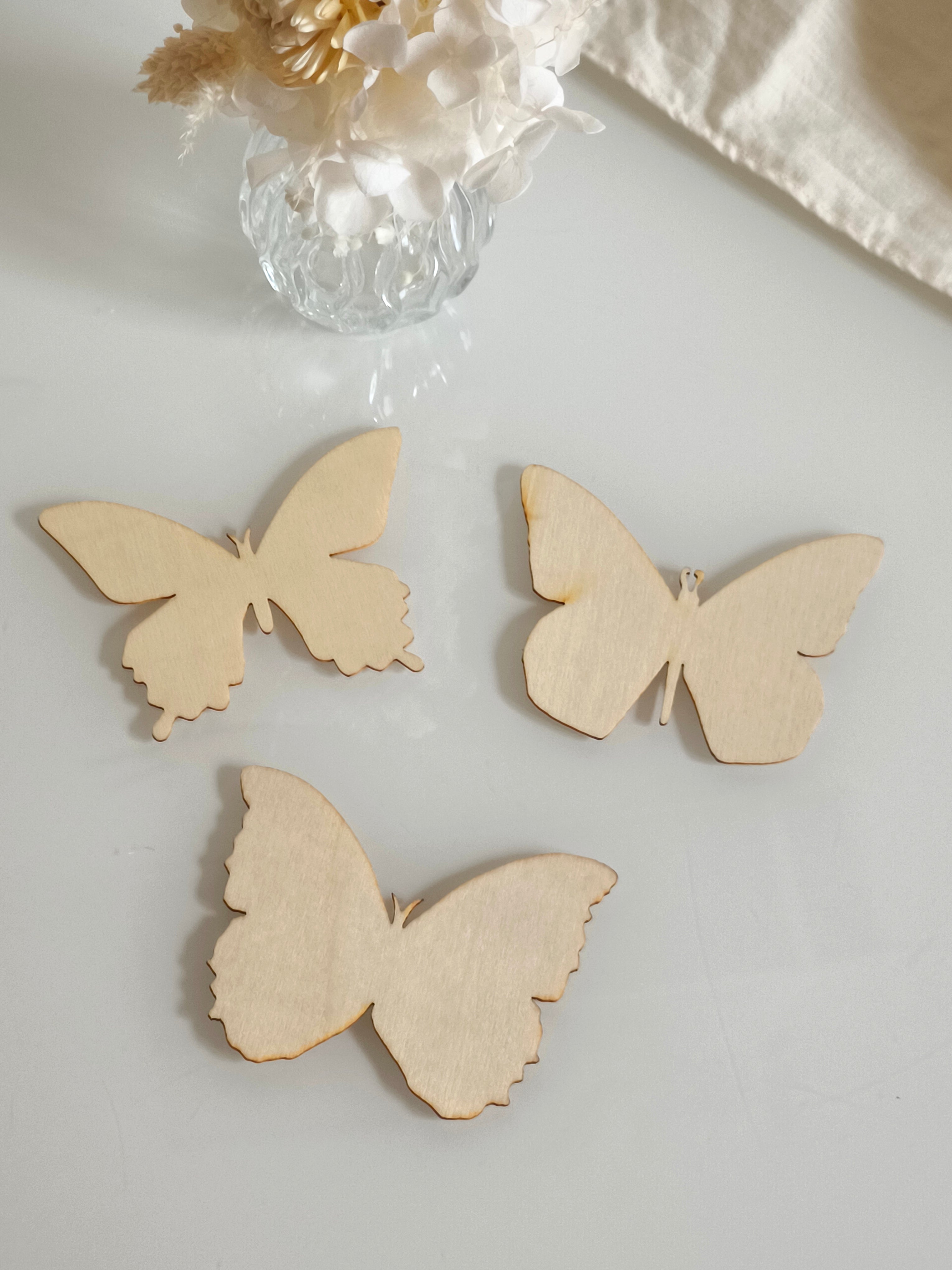 Lot de 3 papillons (défaut)