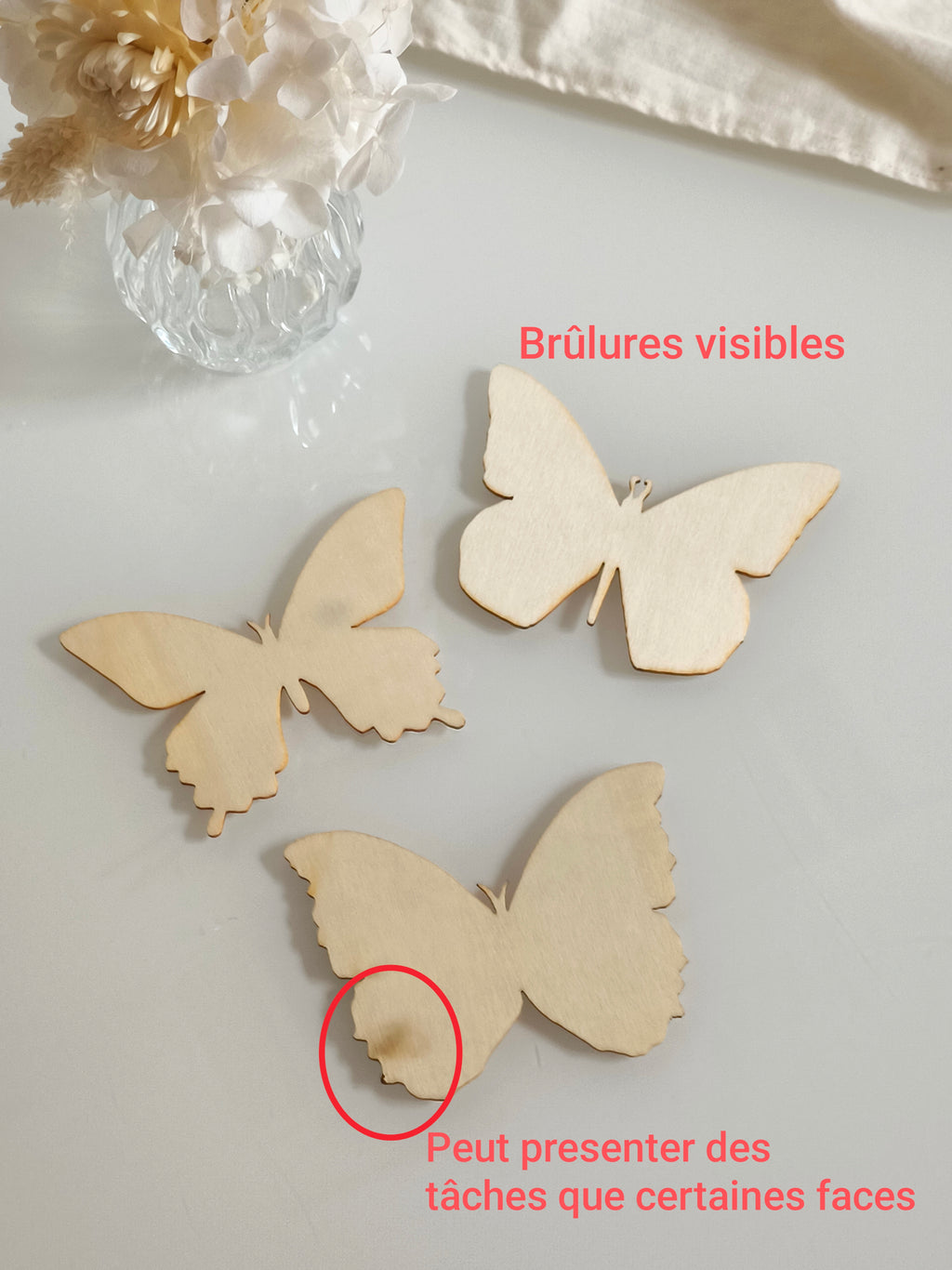 Lot de 3 papillons (défaut)