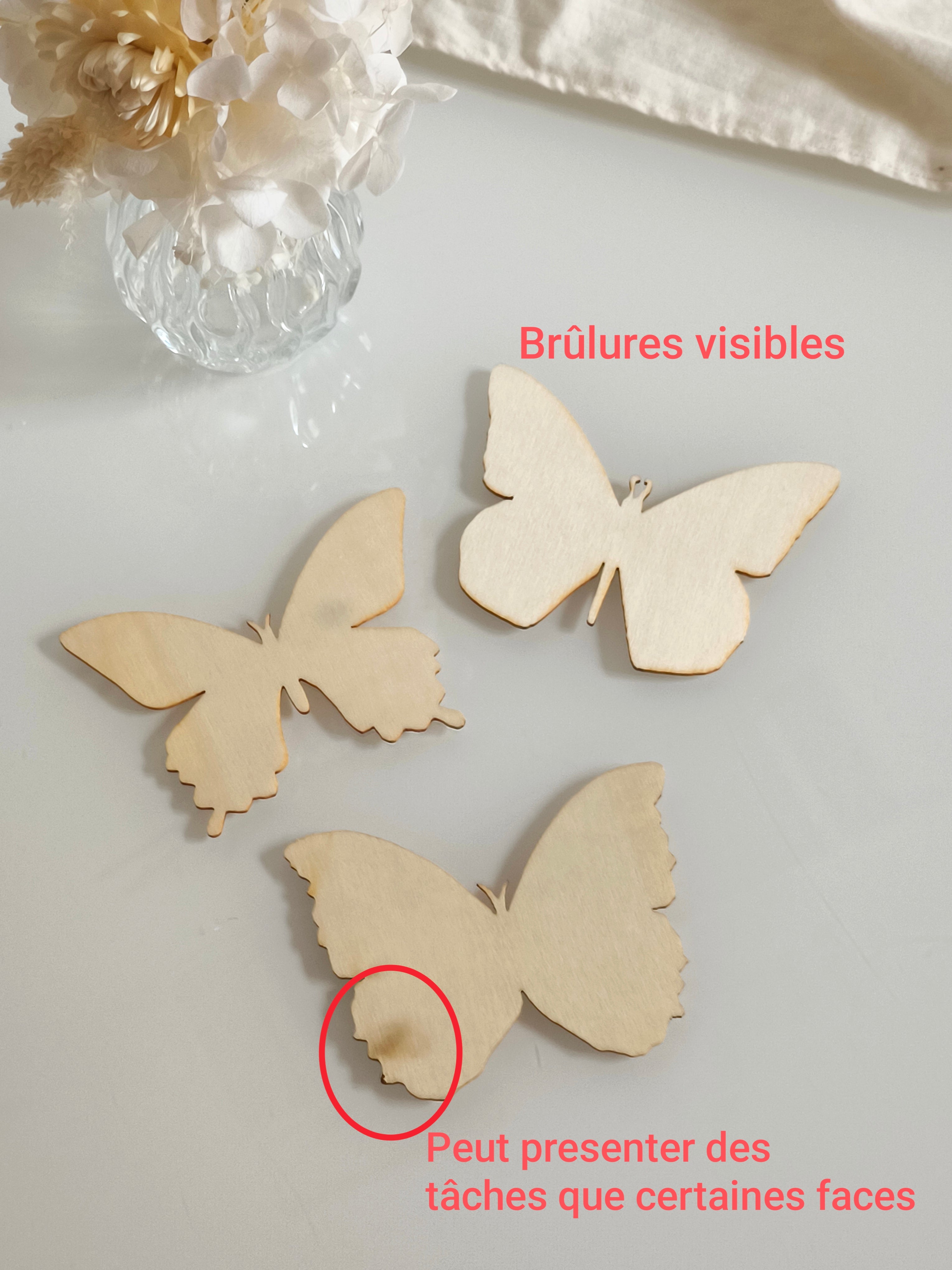 Lot de 3 papillons (défaut)