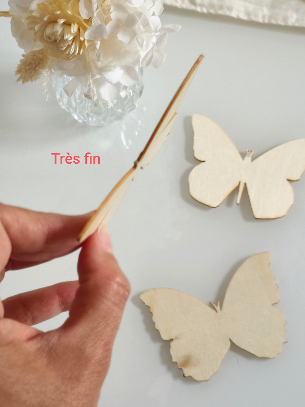 Lot de 3 papillons (défaut)