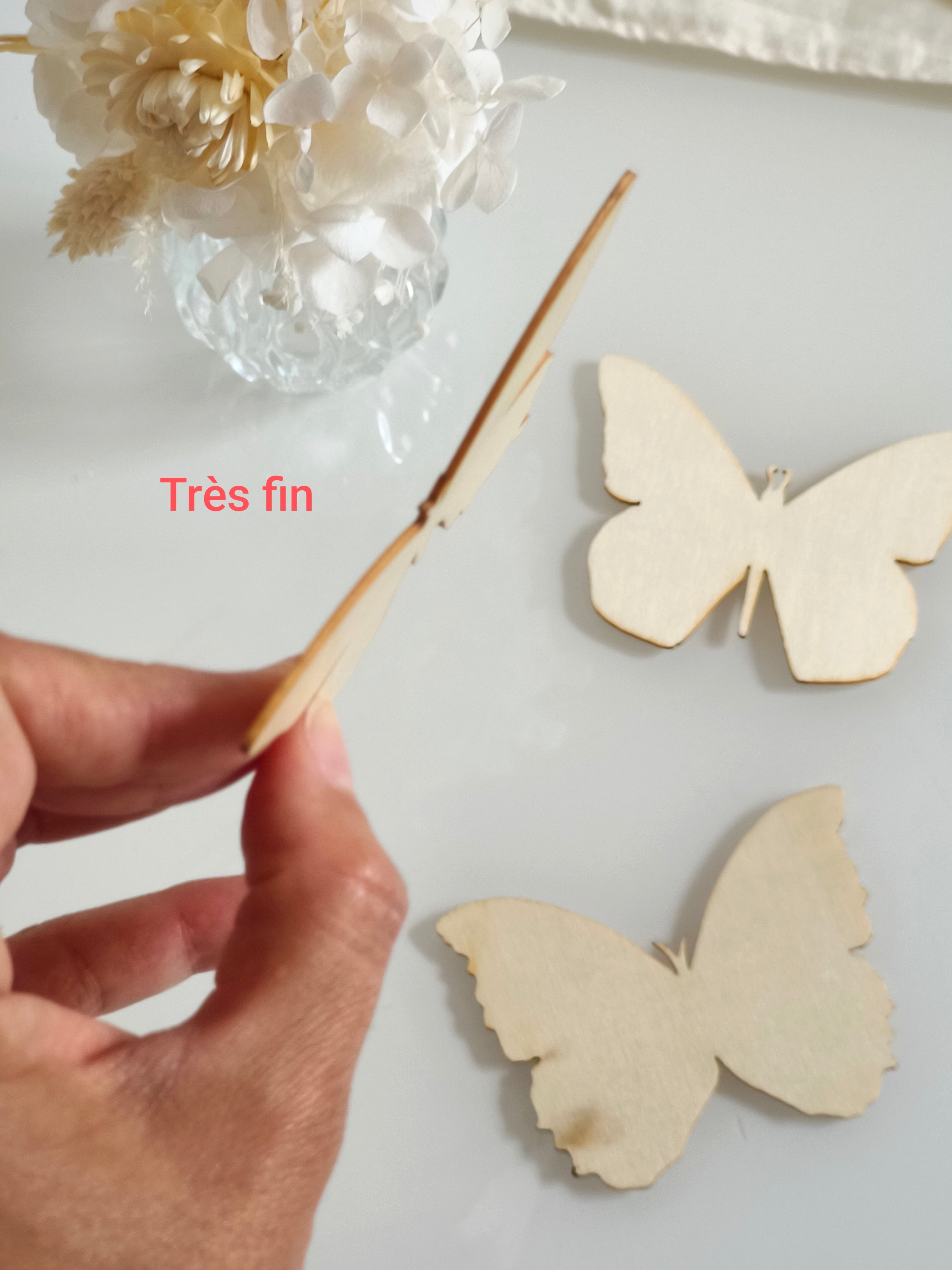 Lot de 3 papillons (défaut)